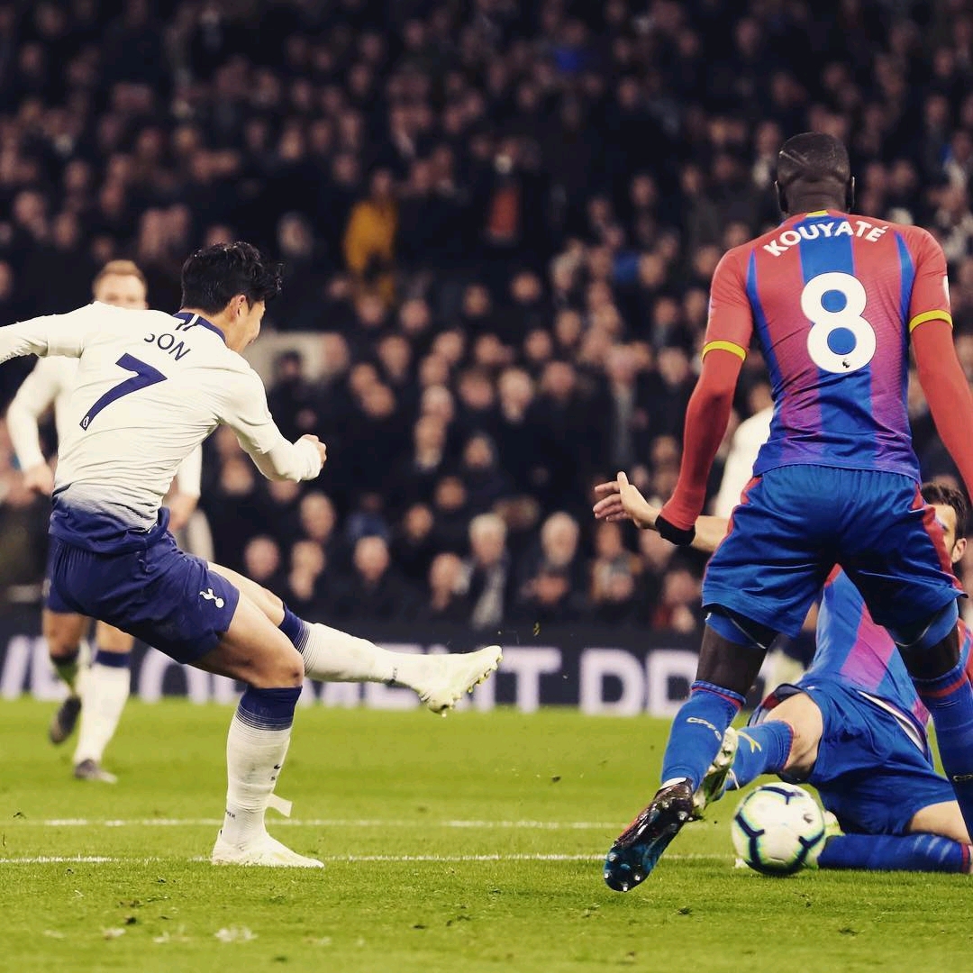 拥有出色的 拥有出色的