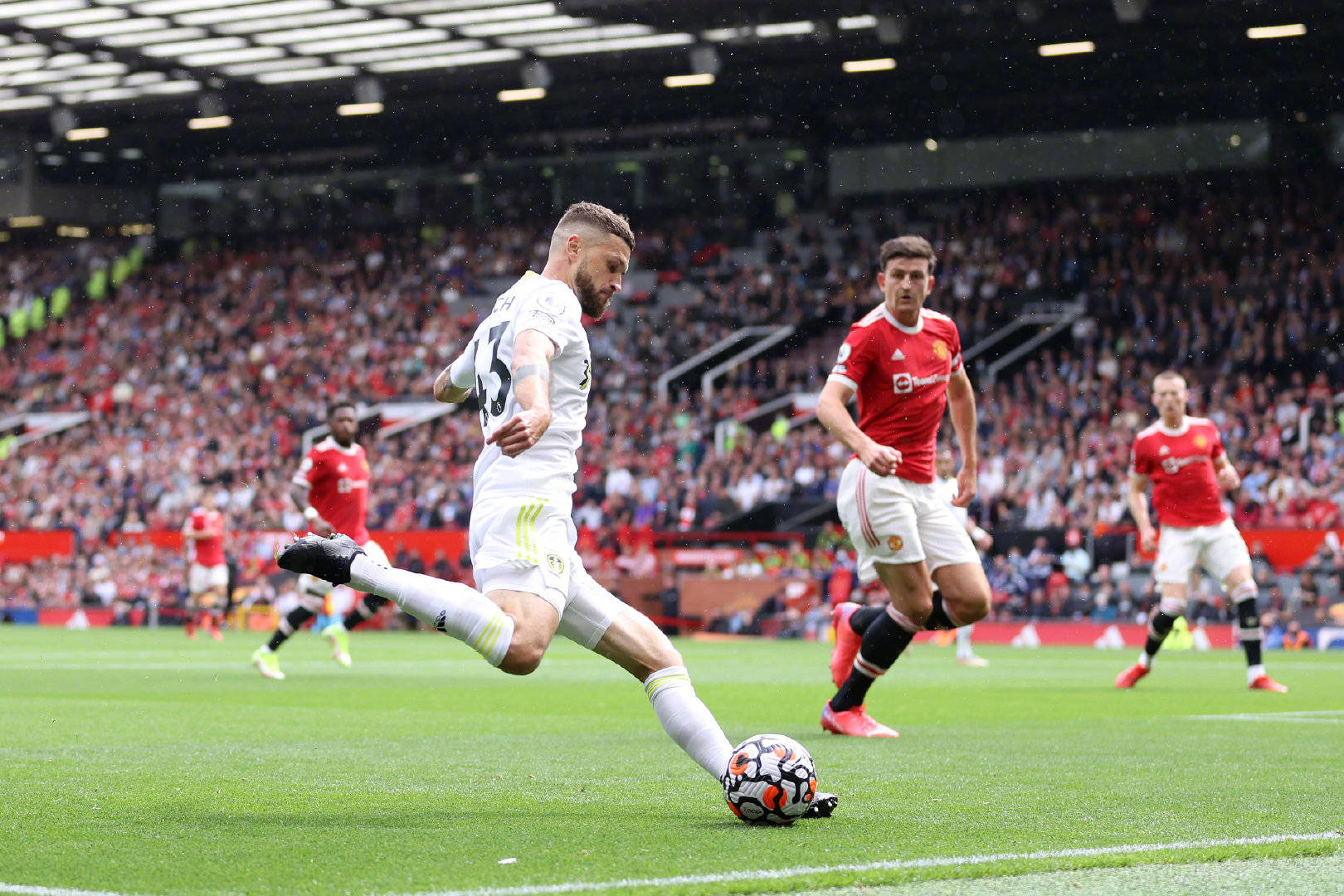 交媒体行为 交媒体行为